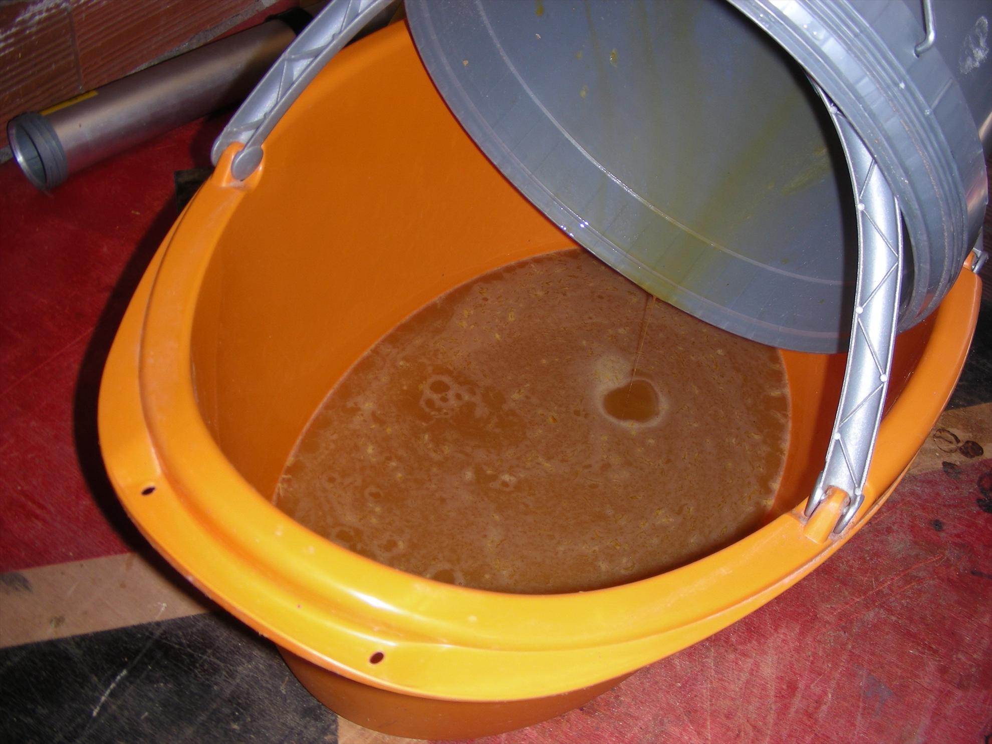 Pregatiri de primavara - dscn9866.JPG